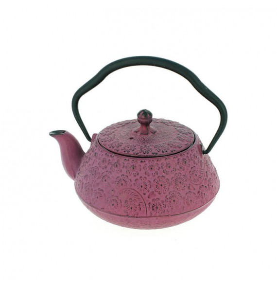Teiera In Ghisa Teiera Giapponese In Ghisa Bollitore for tè Teiera in ghisa  con manico in rame for tè nero come regalo, bollitore giapponese sano  (Color : 1) : : Casa e cucina